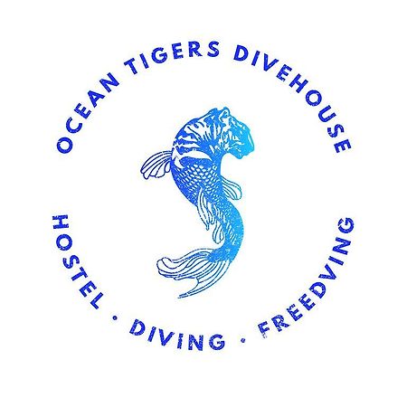 Ocean Tigers Dive House Hostel Кабо Сан Лукас Екстериор снимка