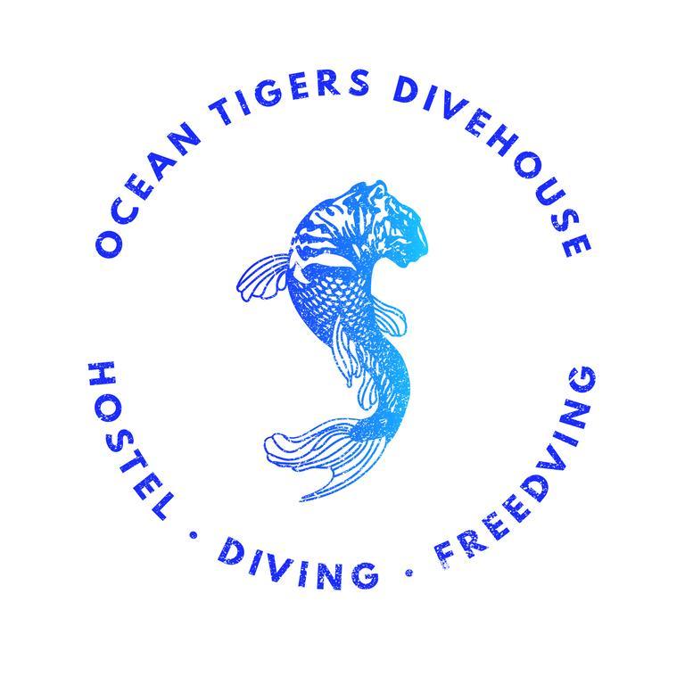 Ocean Tigers Dive House Hostel Кабо Сан Лукас Екстериор снимка